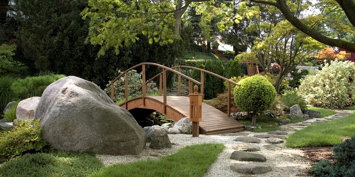 Aménager un jardin sec et méditerranéen : plantes et conseils