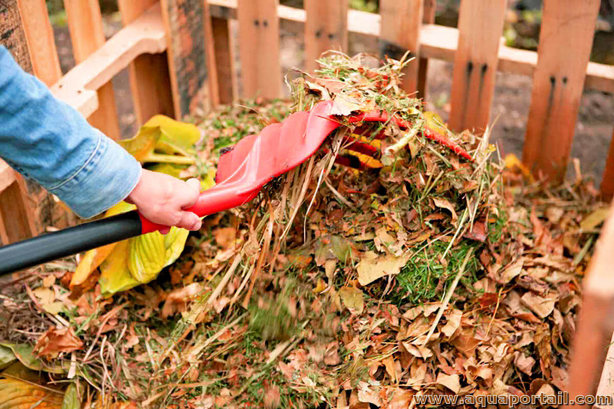 Compost chaud : réussir la méthode Berkeley chez soi