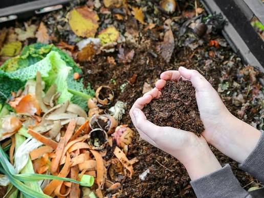 Compost maison : comment réussir son compost rapidement ? (guide pratique)