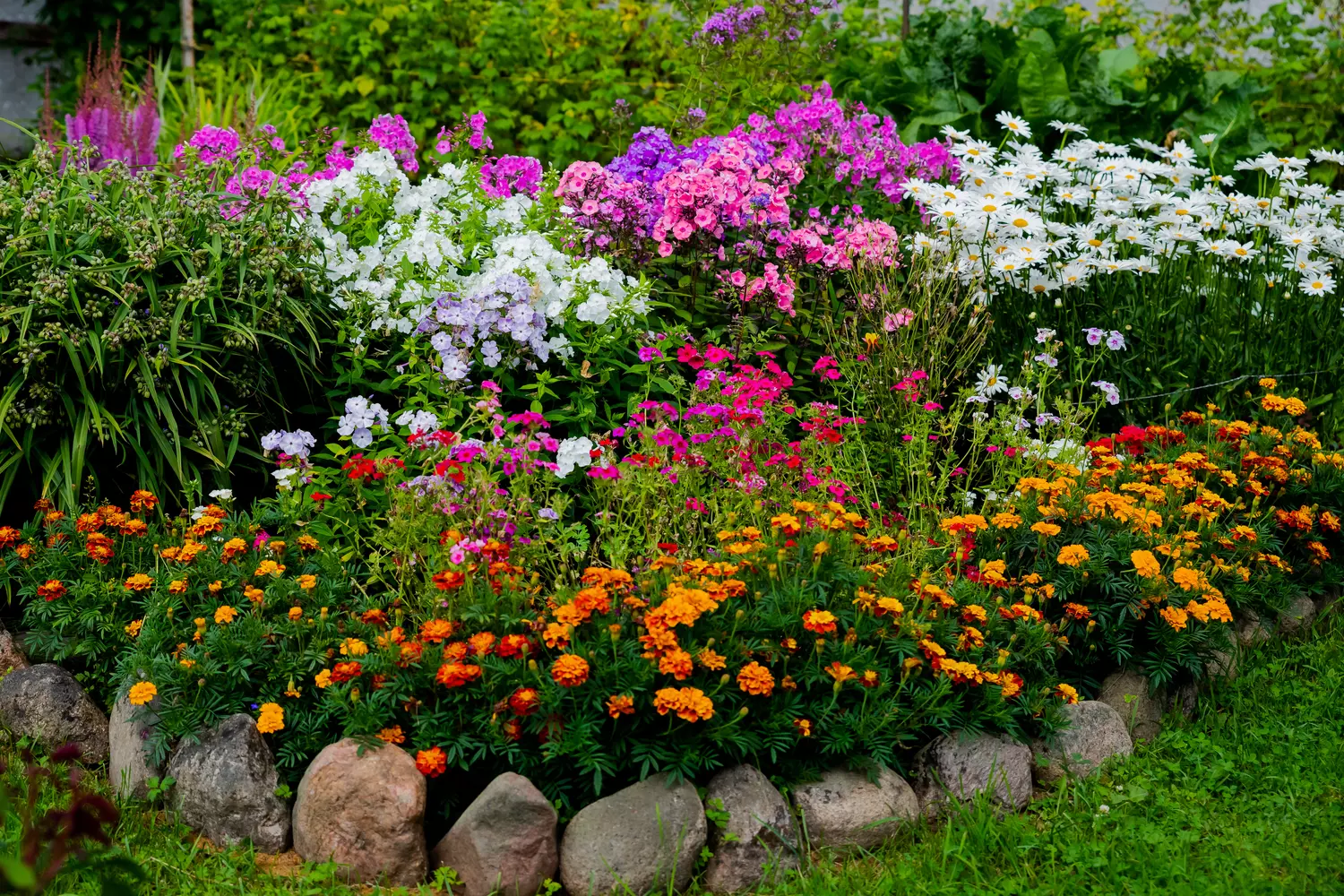 Créer un massif de fleurs toute l'année : guide d'aménagement