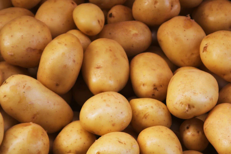 Pomme de terre