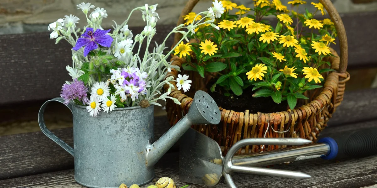Que faire au jardin en mai après les Saints de Glace ?