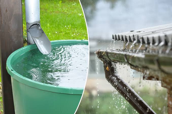 Récupérer l'eau de pluie : solutions de stockage efficaces