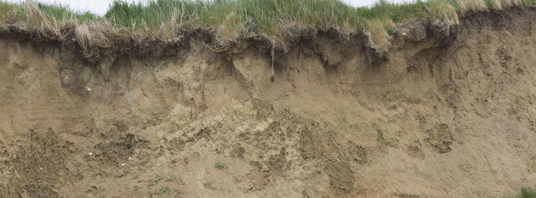 Terre sablonneuse : comment l'amender au bio naturellement