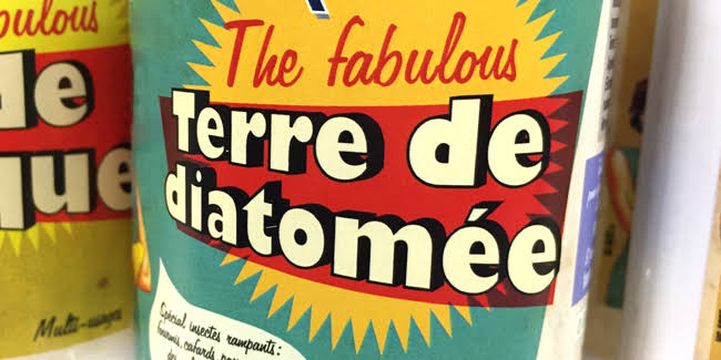 Terre de diatomée : mode d'emploi et astuces au jardin